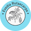 evodia skin booster