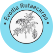 Evodia Rutaecarpa Skin Booster